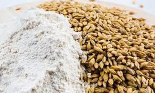 Barley Flour | Jau Atta l 1kg