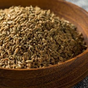 Carom Seeds Ajwain β Rajasthan Fields