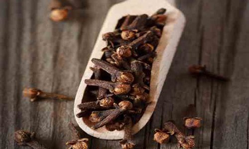 Clove – Laung – With Oil Content (100 Gms)