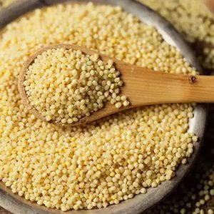 Foxtail Kakum Millet (500 Gms)