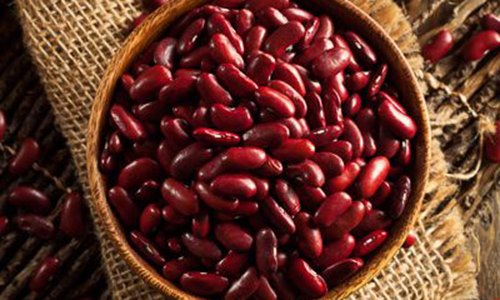 Patnitop Rajma (Pahade) β 1Kg