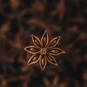 Star Anise/ Chakri Phool- 100Gm – import from srilanka