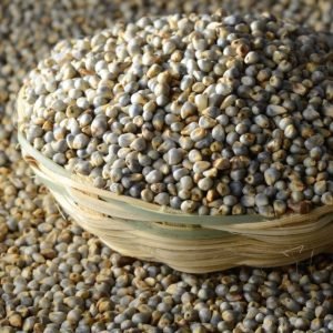 Whole Bajra (Pearl Millet) 1Kg