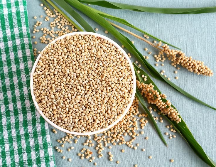 Whole Jowar – Sorghum – 500Gm (Naturally Grown)